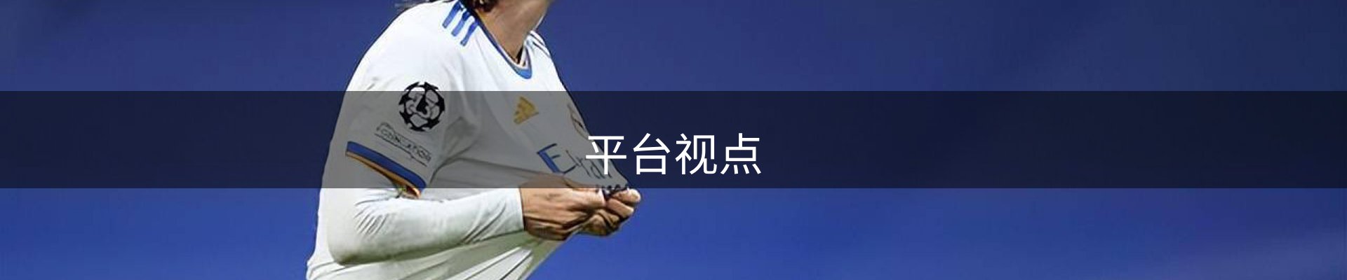 平台视点