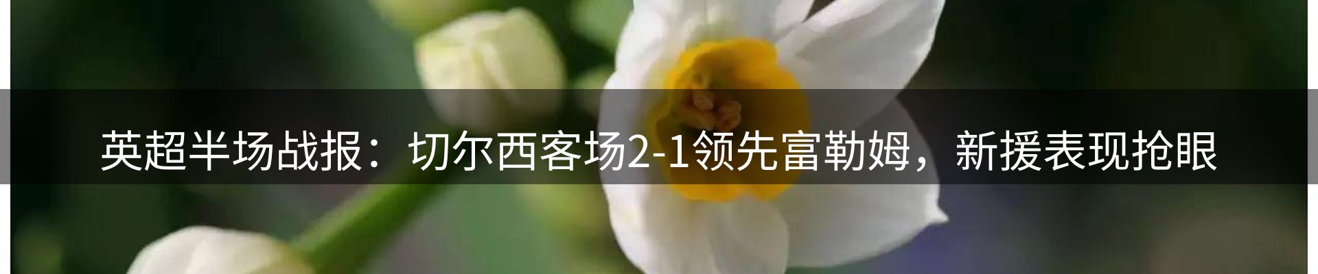 平台视点